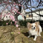 ユーザー画像