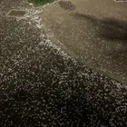 ユーザー画像