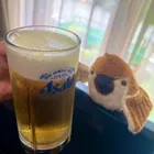 ユーザー画像