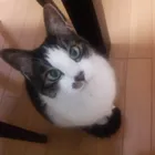 ユーザー画像