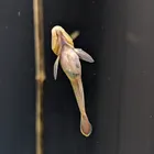 ユーザー画像