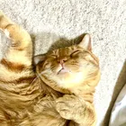 ユーザー画像
