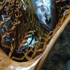 ユーザー画像