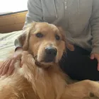 ユーザー画像