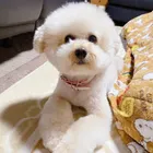 ユーザー画像