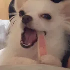 ユーザー画像