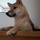 ユーザー画像