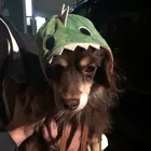 ユーザー画像
