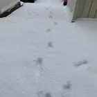 ユーザー画像