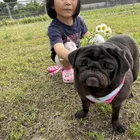 ユーザー画像