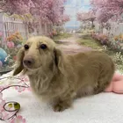 ユーザー画像