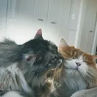 ユーザー画像