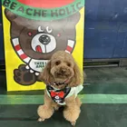 ユーザー画像