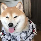 ユーザー画像