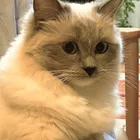 ユーザー画像