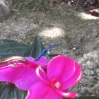 ユーザー画像