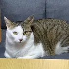 ユーザー画像