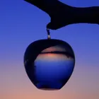 ユーザー画像