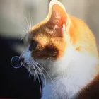 ユーザー画像