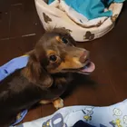 ユーザー画像