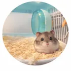 ユーザー画像
