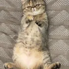 ユーザー画像