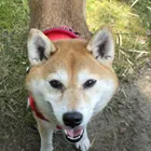 ユーザー画像