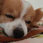 ユーザー画像
