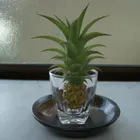 ユーザー画像