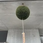 ユーザー画像