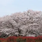 ユーザー画像