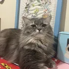 ユーザー画像