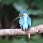 ユーザー画像