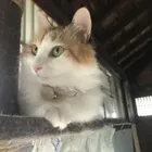 ユーザー画像