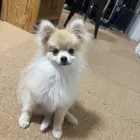 ユーザー画像