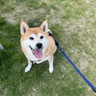 ユーザー画像