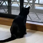 ユーザー画像