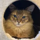 ユーザー画像