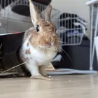 ユーザー画像