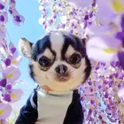 ユーザー画像