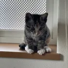 ユーザー画像