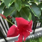 ユーザー画像