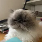 ユーザー画像