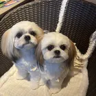 ユーザー画像