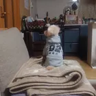 ユーザー画像