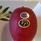 ユーザー画像