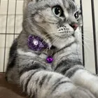 ゆぴ