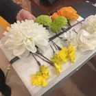 ユーザー画像