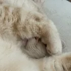 ユーザー画像