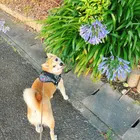 ユーザー画像